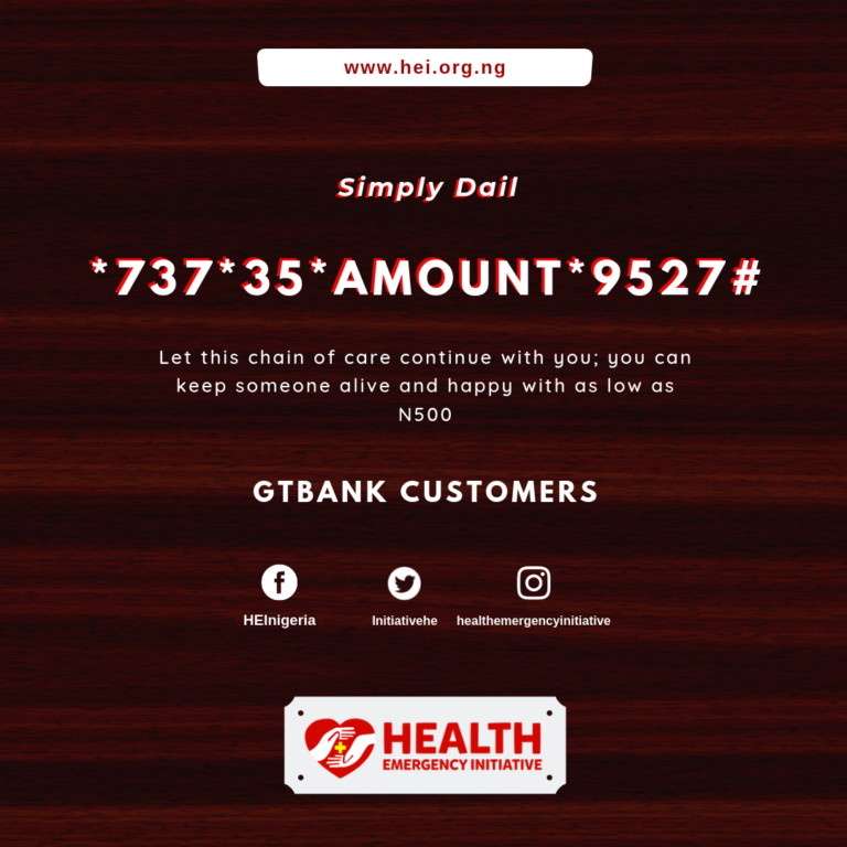 HEI Launched Its USSD Code for easy donation