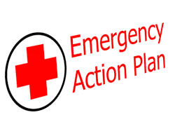HAVE ANY PLAN FOR EMERGENCY?