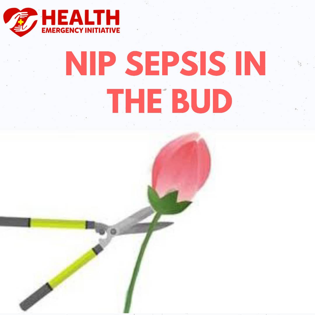 Nip Sepsis in the Bud