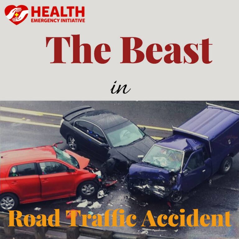 The Beast in Road Traffic Accident