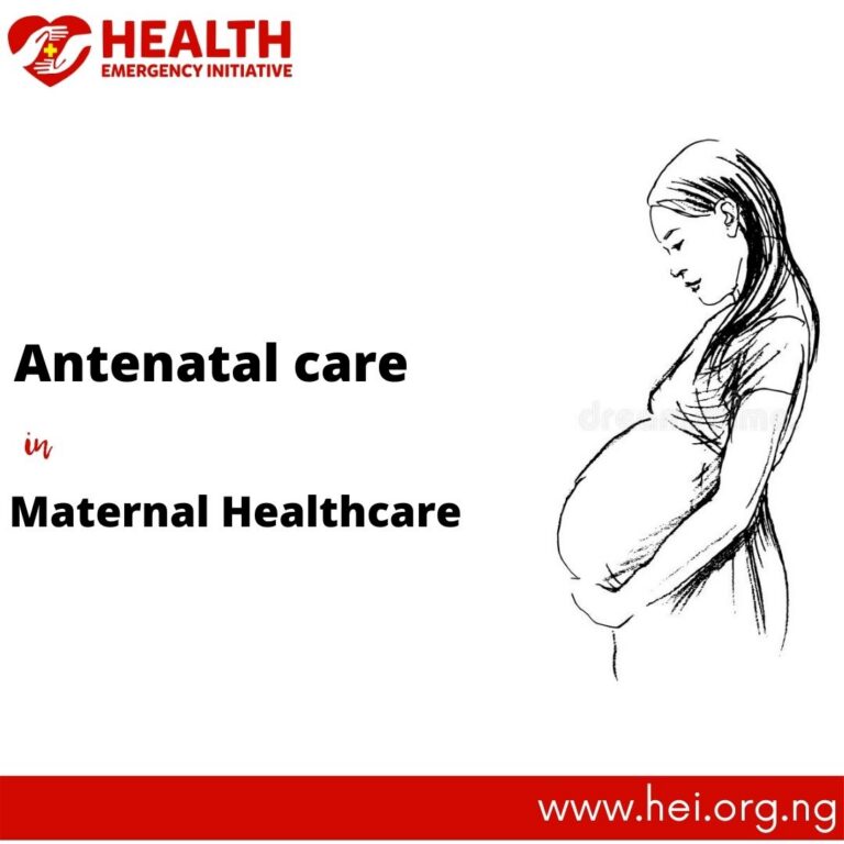 Antenatal Care in Maternal Healthcare