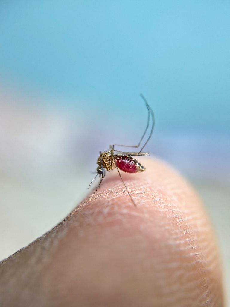 World Malaria Day Campaign