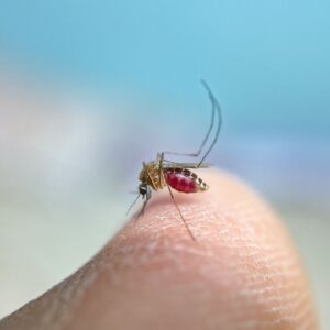 World Malaria Day Campaign World Malaria Day Campaign